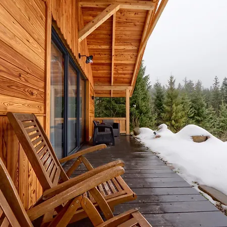 Domek Leśny Zakopane Zewnętrze zdjęcie