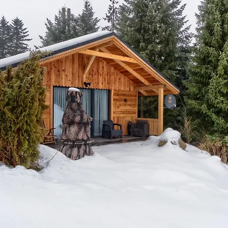 Domek Leśny Zakopane Zewnętrze zdjęcie
