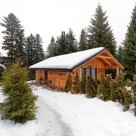 Domek Leśny Zakopane Zewnętrze zdjęcie